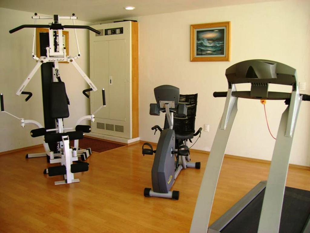 San Juan Park Hotel San Juan del Río Exterior foto A home gym